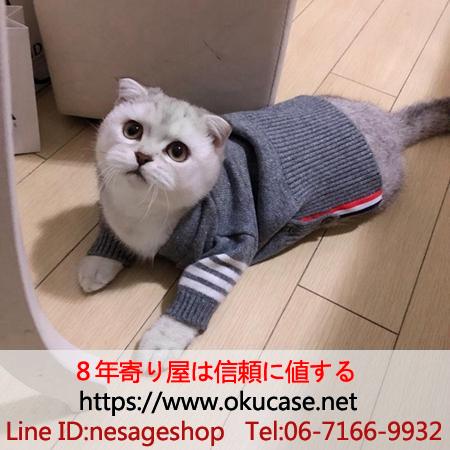 猫服 ニットセーター かわいい